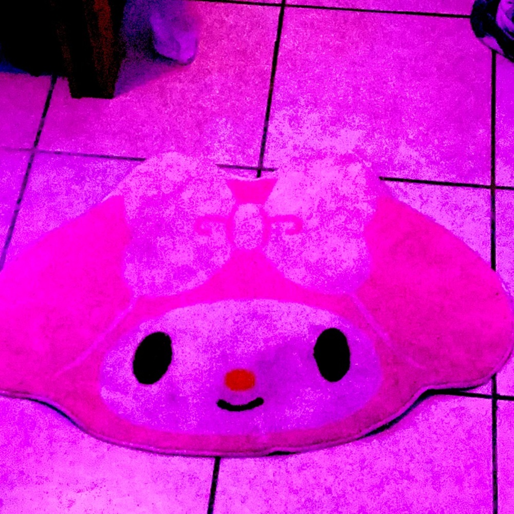 My melody rug